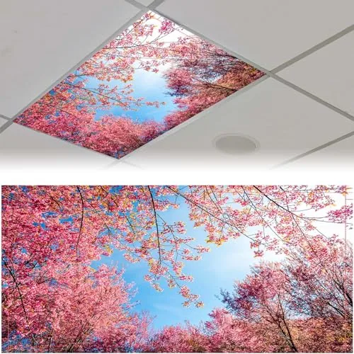 Light Covers Classroom, 4x2 feet
