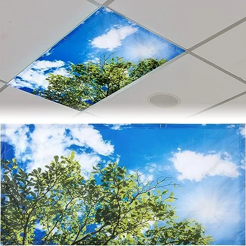 Light Covers Classroom, 4x2 feet