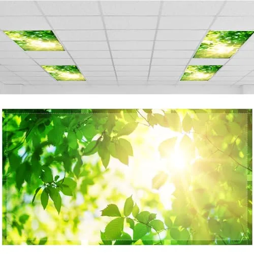 Light Covers Classroom, 4x2 feet, green